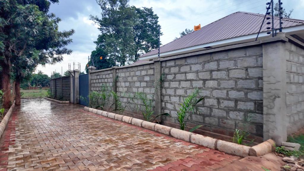 Perimeter wall and paved driveway of the property
